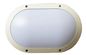 SMD Epistar Ceiling Mount Outdoor LED Wall Light White IK10 IP65 10W 20W 30W dostawca